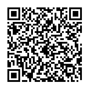 球队的队长范博梅尔也在慕尼黑机场接受记者采访的时候谈到了这件事情二维码生成
