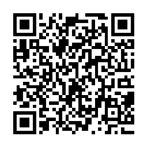 琅琅上口的节奏蓝调让今夜的晚会在一片欢呼声之中徐徐开始二维码生成