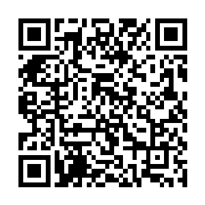 理智告诉她应该回自己的屋子不再管力易的任何事情二维码生成