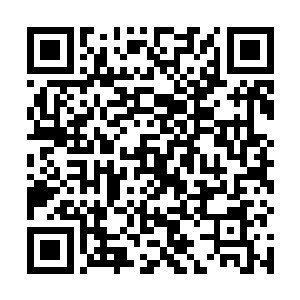 理查德一家的感受同样也发生在了精灵王子一家的身上二维码生成