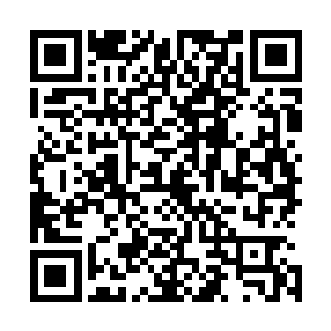 理查德的实验室刚刚因为追上了进度而诞生的一点悠闲气氛二维码生成