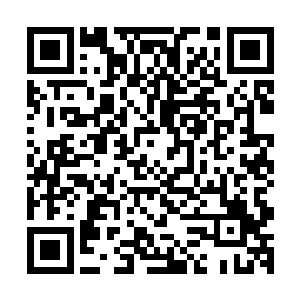 理由居然是想研究一下几亿年前那片无人区的气候和冰川变化二维码生成