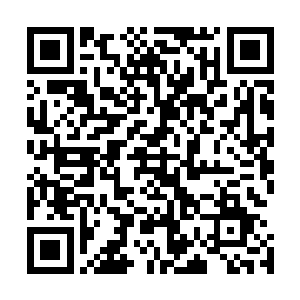 理论上来说能量手套可以兼容和同步任何一款nes游戏不是吗二维码生成