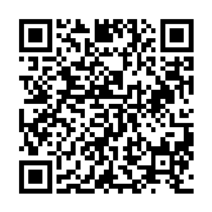 琉璃似乎觉得自己十分难得看到天道会露出这样的神情来二维码生成