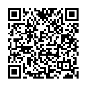 琉璃宝石般的眼睛久久凝视着这座海外孤岛上那傲然而立二维码生成
