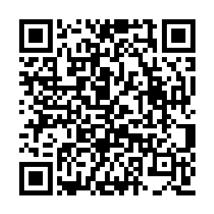 琉璃狐疑地打量魔法美少女支离破碎的宫廷盛装二维码生成