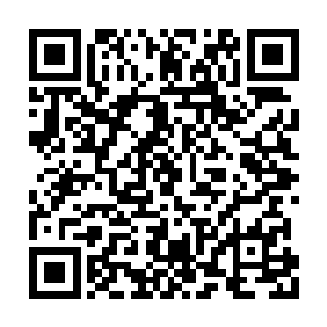 琳遐界主绝对不会愿意主动进入这么危险的地方二维码生成