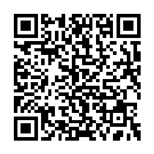 琴帝难道忘了混乱之地形成的时候就有一句话吗二维码生成