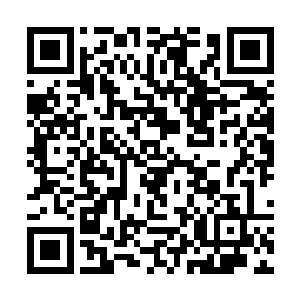 琴瑟色只面无表情的抱着她的琴远离了这俩随时随地二维码生成
