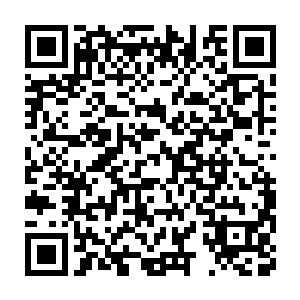 琴瑟色和那带着阿红的黄心巨人已经走到了黄心巨人的聚集地外围二维码生成