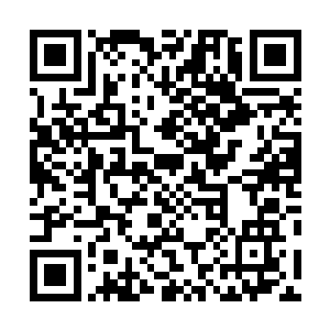 琴瑟色明白了为何谢甲会和黄心巨人王叨叨半天才宰了他二维码生成