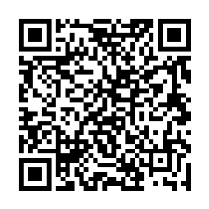 琴瑟色直接就把找小禹仙人挨宰的不愉快丢到了一边二维码生成