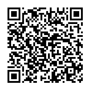 琴瑟色看着立体地图上一个白色光点正一点点靠近过来这片客房区二维码生成