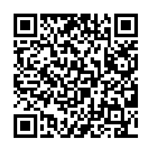 琴瑟色虽然得知也看出来魅业火是流墨墨制造出来的二维码生成