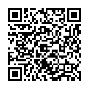 琵琶骨等多个部位出现骨折……已经陷入完全休克状态二维码生成