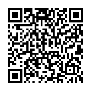 琼恩的姿态越来越放松――她往后靠到了靠垫上二维码生成