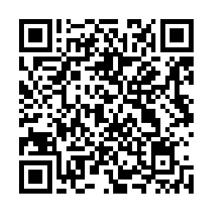 瑞亚与流墨墨她们除了最初时候的互相了解一下真名和来历二维码生成