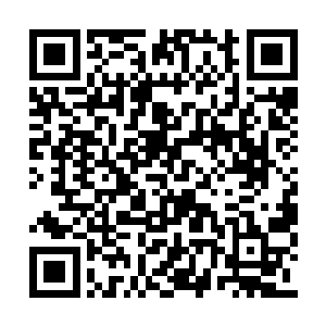 瑞亚竟是不知道远古那场祸事殃及血妖姬族灭族二维码生成