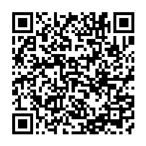 瑞典皇家医院的院长肯德走到他的老朋友斯德哥尔摩皇家医学院院长希瓦身边二维码生成