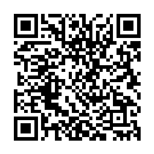 瑞士日内瓦湖畔岸边山坡上的住宅区是世界上最宜居的地方之一二维码生成
