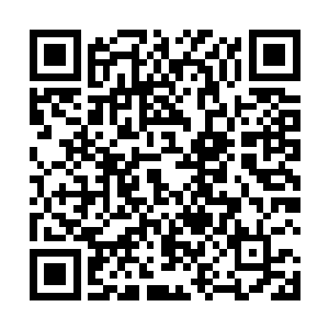 瑞金他们三位前辈的实力虽然还停留在圣皇大圆满境界二维码生成