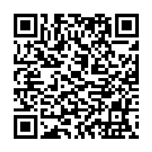 瑞金的身躯就放佛是一面铜墙铁壁似地挡在剑尘身前二维码生成