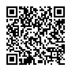 瑟琳娜每部影片都会推荐几个担任边缘角色的帅哥……二维码生成