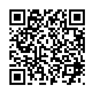 瑟琳娜站在这架袖珍却威猛的模型前二维码生成