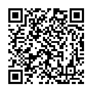 瑶池李家的长老团一直用灵力修复着她千疮百孔的身体二维码生成