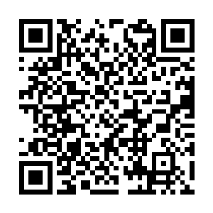 瑾哥儿正站在小推车里伸手去抓姚若溪的绣花棚子二维码生成