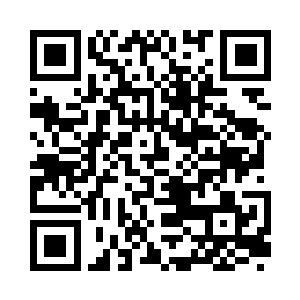 璀璨夺目的蓝色凤凰在夜幕下绕他身翱翔二维码生成