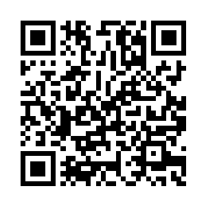 璀璨的烟火刹那间以高涨的姿态彻底的绽放二维码生成