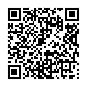 璐瑶的家属那边我已经支付了五百万的精神损失费赔偿二维码生成