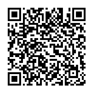 璐璐+锤石这个组合可以说是这个版本中上路和辅助位上最好的选择了二维码生成