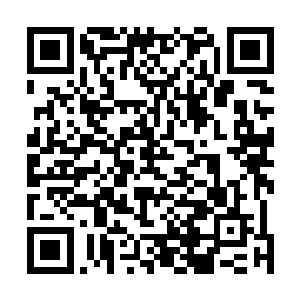 璐璐每次平a时皮克斯这个小仙灵也都会跟着发射一道魔法箭二维码生成
