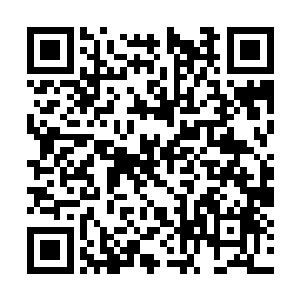 璞如道君则好似没有听到炫光道君话语之中的意思二维码生成