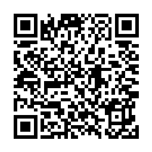 瓜迩甚至能闻到扑过来的这条虫子嘴里发出的血性的气味二维码生成