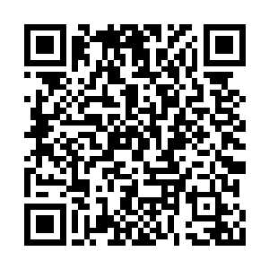 瓦洛斯的法术破解工作也被这一声怒吼给打断了二维码生成