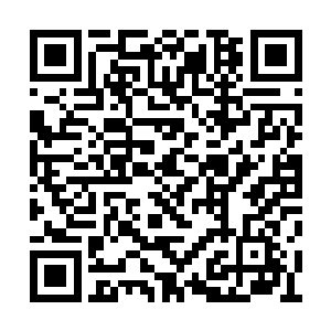 瓦西里耶维奇将军随后将电话打到了总统办公室二维码生成
