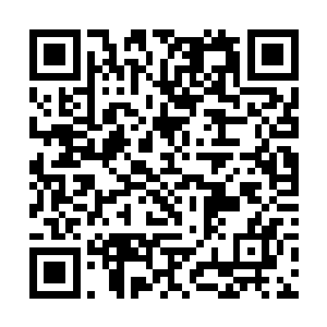 甄婕也知道陆为民是想了解一下华民集团目前的状况二维码生成