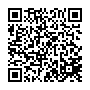 甄婕看到站在落地大玻璃窗前刚刚端起茶杯的陆为民二维码生成