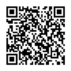 甄家的人包括乐清都心照不宣的没对甄妮要在外住两晚多说什么二维码生成