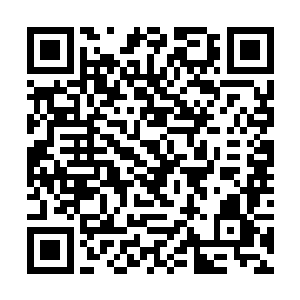 甄贞也的确是跟索尼唱片签下了三张唱片的分成合约二维码生成