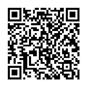 甘棠村前面那片林子里也不知道埋了多少人的尸骨了二维码生成