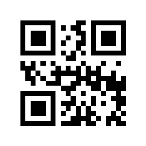 甚丑二维码生成