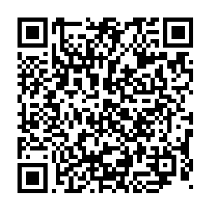 甚或是道君帝君级的不落之日――只是道君和帝君的不落基础不同二维码生成