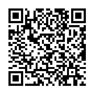 甚至一些和夏天有关系的势力都有可能获得六级仙法二维码生成