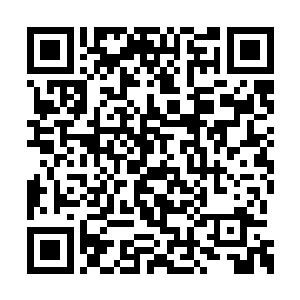 甚至一些题还用到了他还没接触到的微积分知识二维码生成