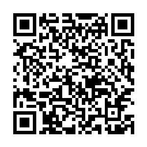 甚至一直有传闻说意大利总理贝里斯科尼都跟黑手党有二维码生成