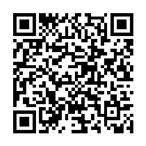 甚至不惜将自己大部分力量都转移到了克隆体身上二维码生成